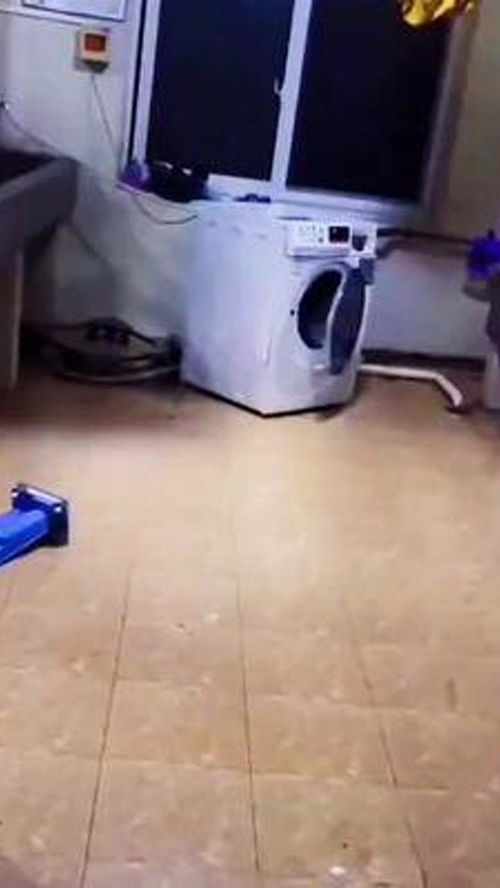 洗衣機腳墊 不容忽視的居家實用好物